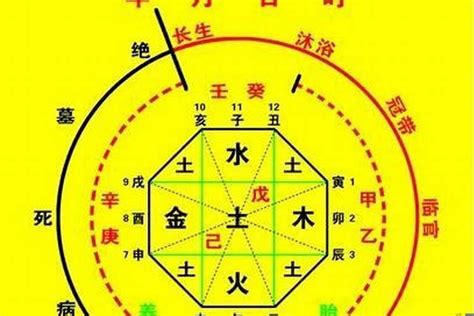 八字 十神 查詢|生辰八字算命、五行喜用神查询（免费测算）